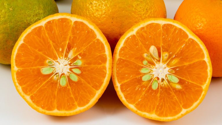 USDA 6-15-150 Mandarin Orange